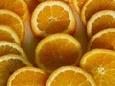 רפרפת תפוזים