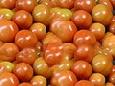 צ'אטני עגבניות